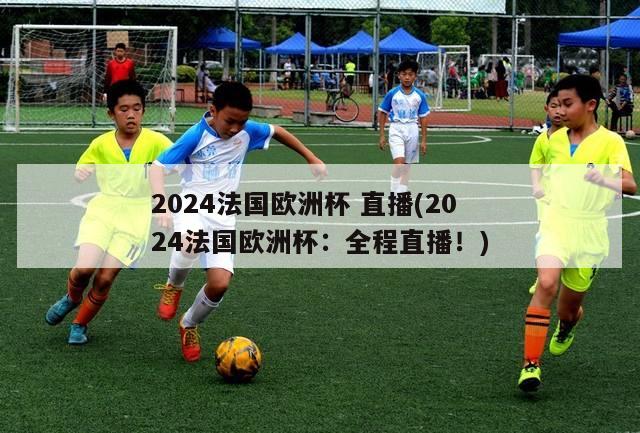 2024法国欧洲杯 直播(2024法国欧洲杯：全程直播！)